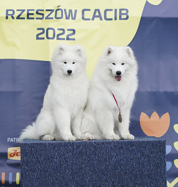 rzeszow2022