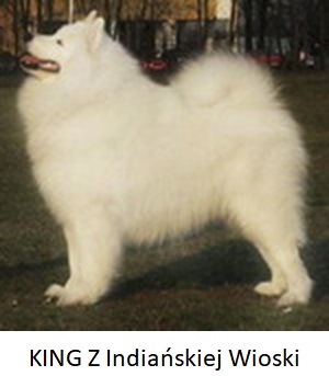 1283991 113078