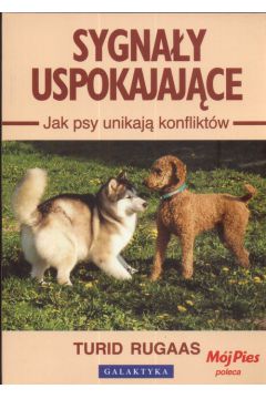 48112801284KS