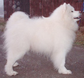 Frostbite Nansen