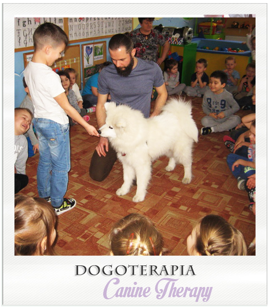 dogoterapia