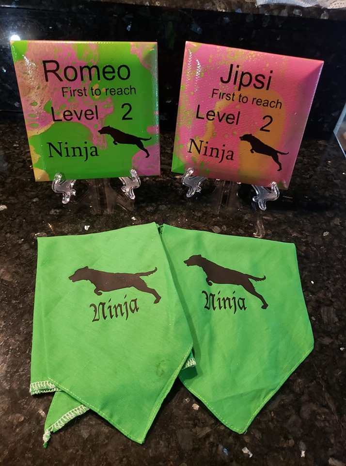 jipsininja2
