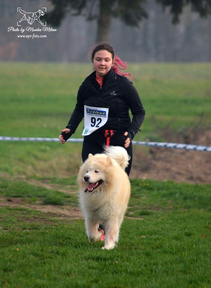 minikowo112018heniu