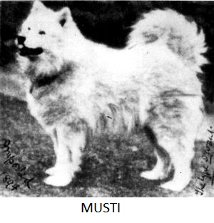 musti1