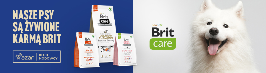 brit care 900x250