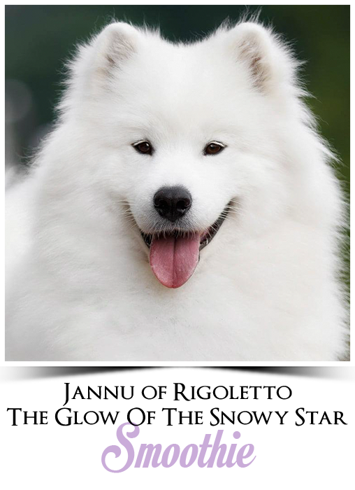 profil jannu
