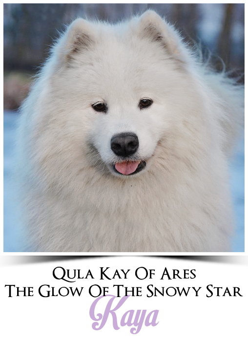 QULA KAY OF ARES The Glow Of The Snowy Star