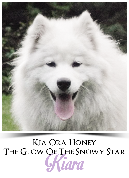 profil kiara