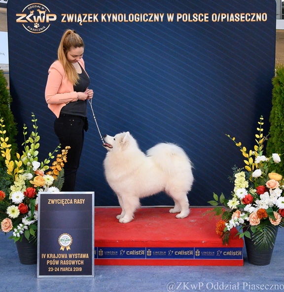 pruszkow 2019