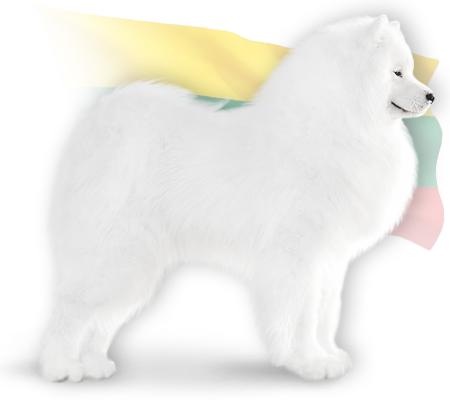 sire caramelo