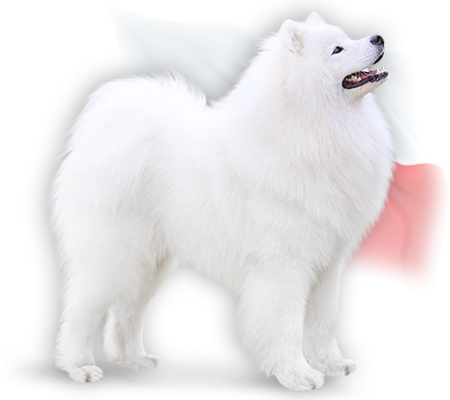 sire xenon