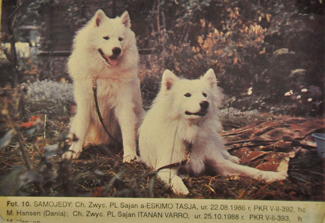 sajany