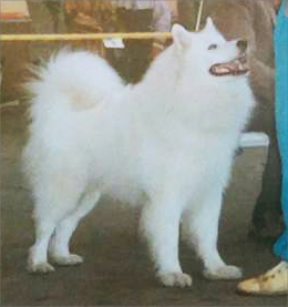 Sajan Itanan Varro