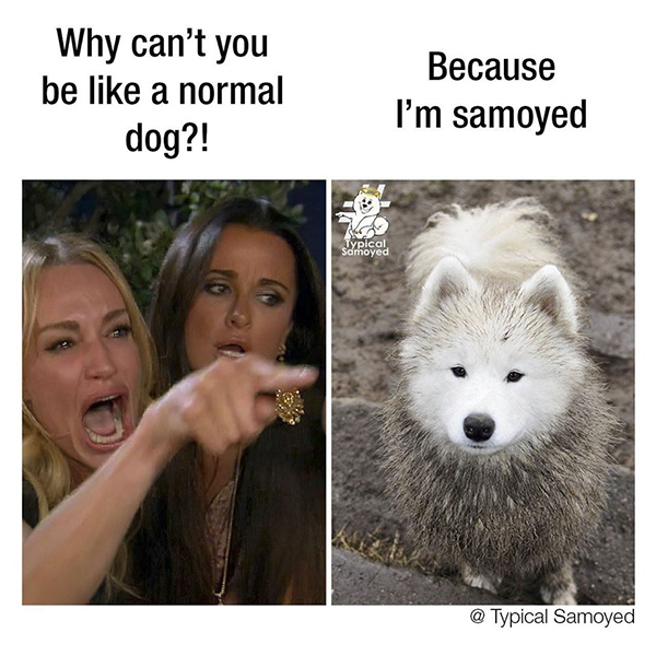 zanim09